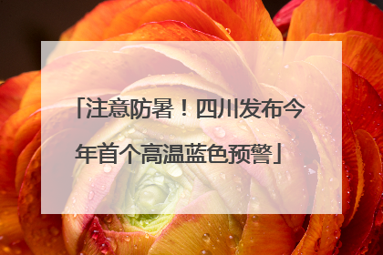 注意防暑！四川发布今年首个高温蓝色预警