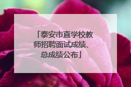 泰安市直学校教师招聘面试成绩、总成绩公布