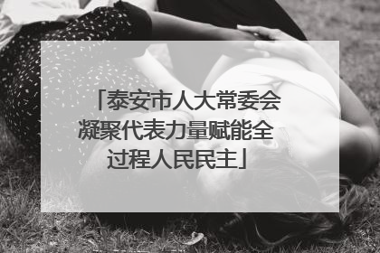 泰安市人大常委会凝聚代表力量赋能全过程人民民主