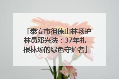 泰安市徂徕山林场护林员邓兴法：37年扎根林场的绿色守护者