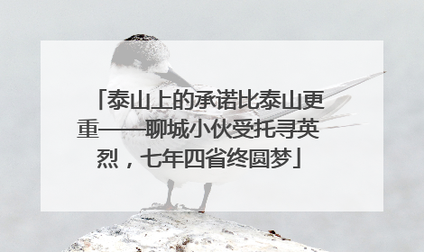 泰山上的承诺比泰山更重——聊城小伙受托寻英烈，七年四省终圆梦