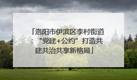 洛阳市伊滨区李村街道：“党建+公约”打造共建共治共享新格局