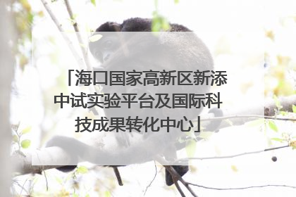 海口国家高新区新添中试实验平台及国际科技成果转化中心