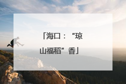海口：“琼山福稻”香