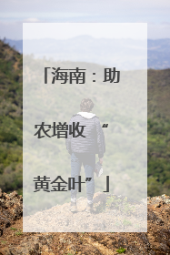 海南：助农增收 “黄金叶”