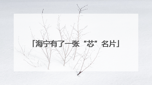 海宁有了一张“芯”名片