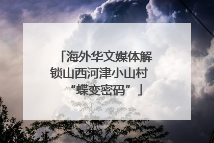 海外华文媒体解锁山西河津小山村“蝶变密码”