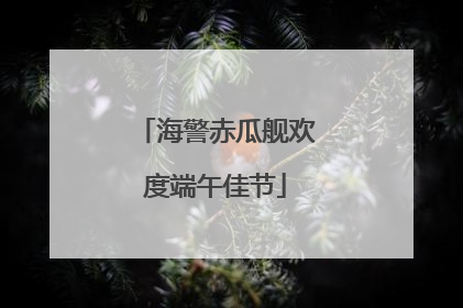 海警赤瓜舰欢度端午佳节
