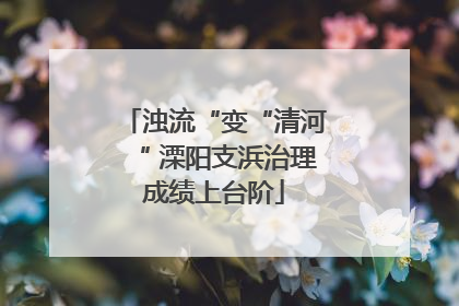 浊流“变“清河“ 溧阳支浜治理成绩上台阶
