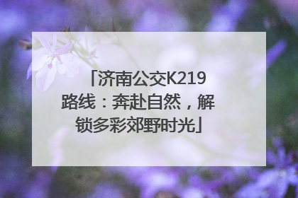 济南公交K219路线：奔赴自然，解锁多彩郊野时光