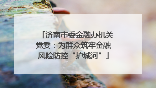 济南市委金融办机关党委：为群众筑牢金融风险防控“护城河”
