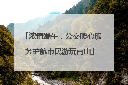 浓情端午，公交暖心服务护航市民游玩南山