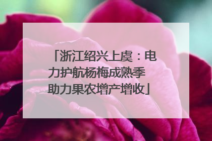 浙江绍兴上虞：电力护航杨梅成熟季 助力果农增产增收