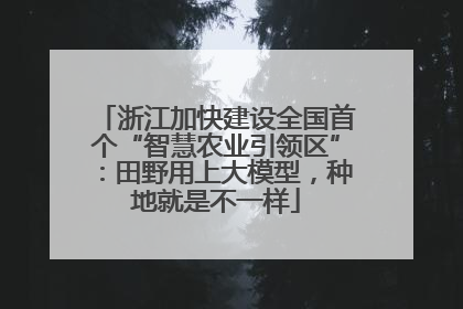 浙江加快建设全国首个“智慧农业引领区”：田野用上大模型，种地就是不一样