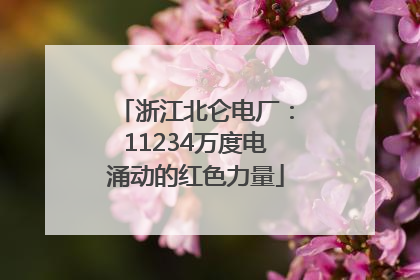 浙江北仑电厂：11234万度电涌动的红色力量