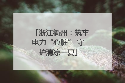浙江衢州：筑牢电力“心脏” 守护清凉一夏