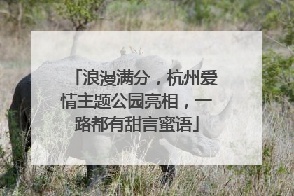 浪漫满分，杭州爱情主题公园亮相，一路都有甜言蜜语