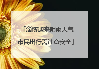淄博迎来阴雨天气 市民出行需注意安全