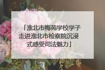 淮北市梅苑学校学子走进淮北市检察院沉浸式感受司法魅力