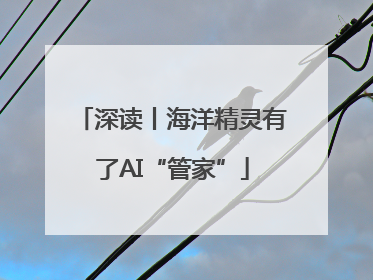 深读丨海洋精灵有了AI“管家”