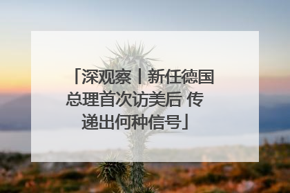 深观察丨新任德国总理首次访美后 传递出何种信号