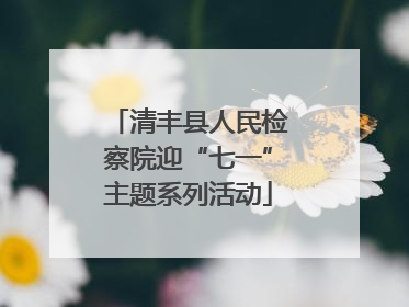 清丰县人民检察院迎“七一”主题系列活动