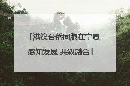 港澳台侨同胞在宁夏感知发展 共叙融合