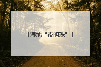 湿地“夜明珠”