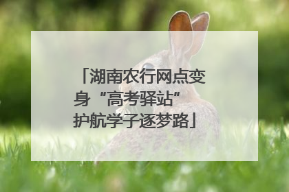 湖南农行网点变身“高考驿站” 护航学子逐梦路
