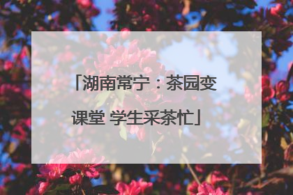 湖南常宁：茶园变课堂 学生采茶忙