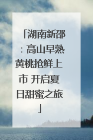 湖南新邵：高山早熟黄桃抢鲜上市 开启夏日甜蜜之旅