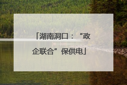 湖南洞口：“政企联合”保供电