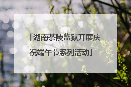 湖南茶陵监狱开展庆祝端午节系列活动