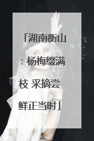 湖南衡山：杨梅缀满枝 采摘尝鲜正当时
