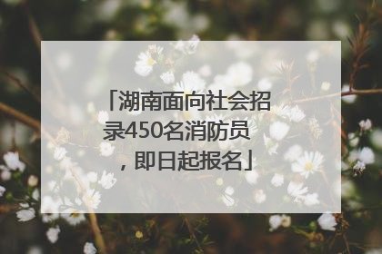 湖南面向社会招录450名消防员，即日起报名