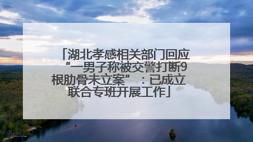 湖北孝感相关部门回应“一男子称被交警打断9根肋骨未立案”：已成立联合专班开展工作