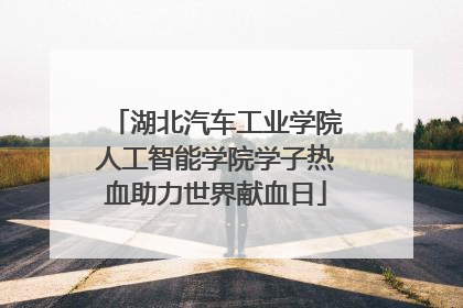 湖北汽车工业学院人工智能学院学子热血助力世界献血日