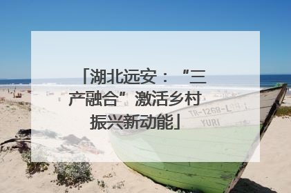 湖北远安：“三产融合”激活乡村振兴新动能