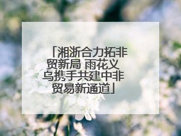 湘浙合力拓非贸新局 雨花义乌携手共建中非贸易新通道