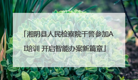 湘阴县人民检察院干警参加AI培训 开启智能办案新篇章