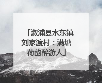 溆浦县水东镇刘家渡村：满塘荷韵醉游人