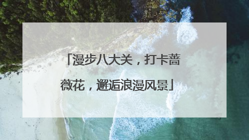 漫步八大关，打卡蔷薇花，邂逅浪漫风景