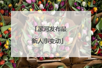 漯河发布最新人事变动