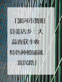 漯河市舞阳县姜店乡：大蒜喜获丰收 特色种植铺就富民路