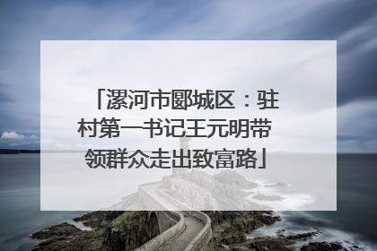 漯河市郾城区：驻村第一书记王元明带领群众走出致富路