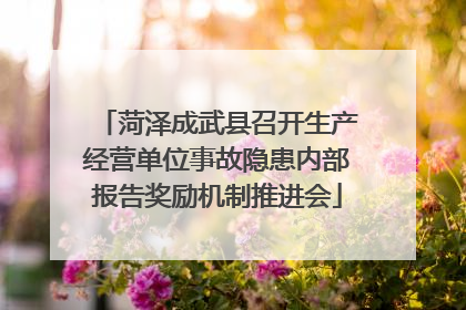 菏泽成武县召开生产经营单位事故隐患内部报告奖励机制推进会