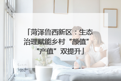 菏泽鲁西新区：生态治理赋能乡村“颜值”“产值”双提升