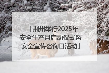 荆州举行2025年安全生产月启动仪式暨安全宣传咨询日活动