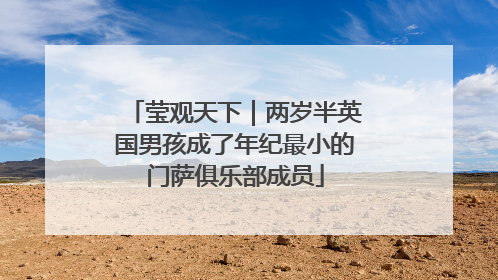 莹观天下｜两岁半英国男孩成了年纪最小的门萨俱乐部成员