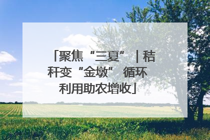 聚焦“三夏”｜秸秆变“金墩” 循环利用助农增收